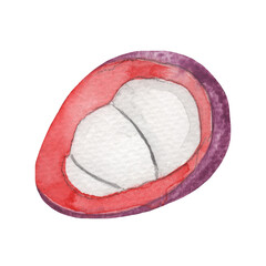 Watercolor illustration of litchi, whole isolated on white background.