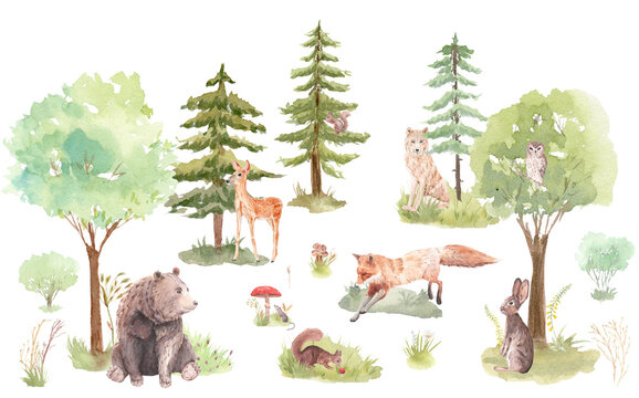 Watercolor set Forest Animals and Trees, watercolor woodland, bear, squirrel, fox, owl, deer, rabbit, mouse,  wolf, Christmas tree, stump, for nursery, wallpaper, wall decor, stickers