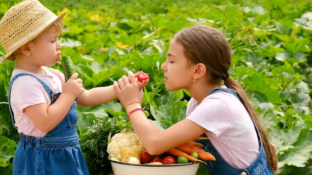 Child in the vegetable garden. selective focus.