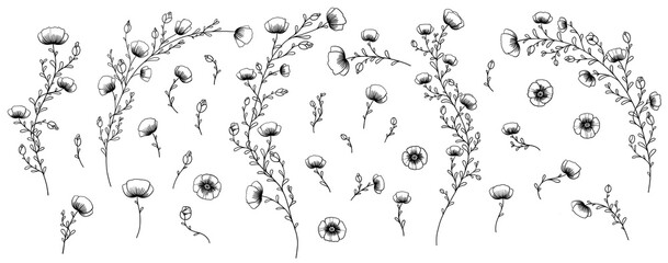 Line art floral illustration set. Meadow poppy flowers, buds, stems and twigs decorative botanical illustrations isolated on white background