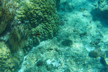宮古島　シギラビーチの海の中