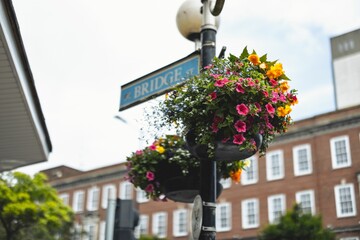 Street sign of a bridge on the light pole decorated with flowers