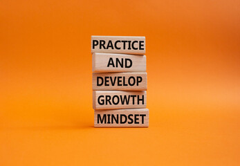 Practice and Develop growth mindset symbol. Wooden blocks with words Practice and Develop growth mindset. Beautiful orange background. Business concept. Copy space