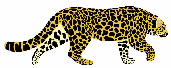 walking amur leopard vector illustration - obrazy, fototapety, plakaty