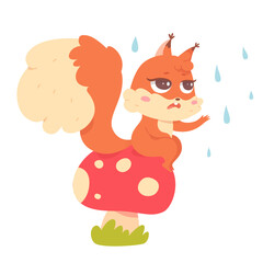 Cute sad squirrel character sitting on fly agaric in rain, water drops falling on animal