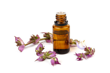 A bottle of essential oil with fresh blooming clary sage twigs on white background.