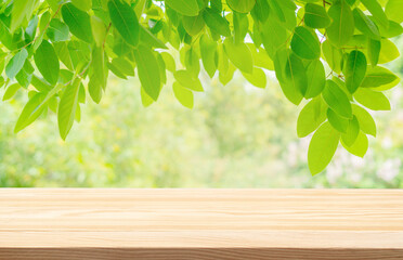 fresh green leaves frame and wooden floor