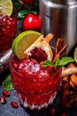 Spicy autumn pumpkin cocktail. Alcohol warming gin drink with pumpkin, lime, cinnamon, mint, autumn winter sangria on dark background copy space