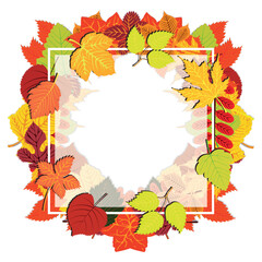 Autumn leaves banner white background. Autumn sale promo poster leaflet or web banner. Autumn cartoon style vector background with colorful leaves.Vector illustration of botanical leaves. EPS 10. 
