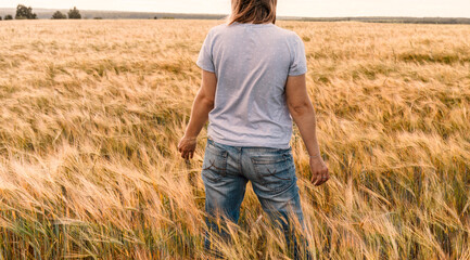 Naklejka na ściany i meble Rear view woman in jeans among yellow dry cereal wheat field agriculture and grain harvest Mockup friendly
