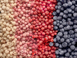 Frozen currants background. Top view currant varieties