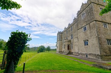 Fototapeta na wymiar Portumna Castle in Irland