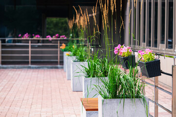 Part of office building with flower beds and benches for decoration, relaxation and positive mood. Urban environment. Summer sunny day outdoors. Minsk, Belarus