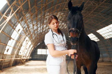 Female doctor in white coat is with horse on a stable
