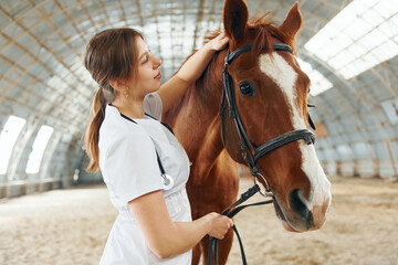 Checking the health of an animal. Female doctor in white coat is with horse on a stable