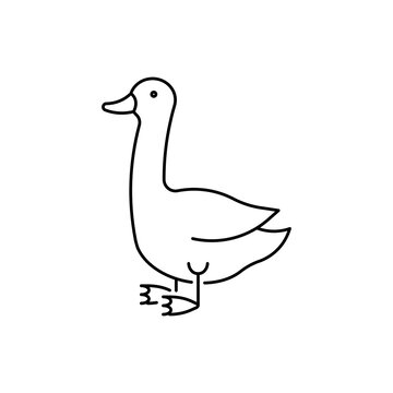 Goose farm animal linear icon. Editable stroke