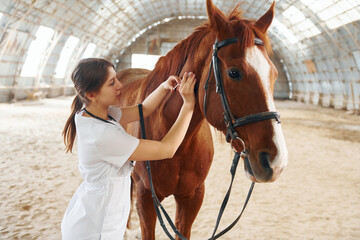 Making a prick by syringe. Female doctor in white coat is with horse on a stable