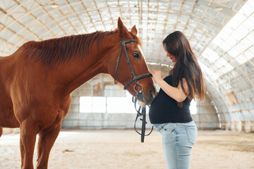 Side view. Beautiful pregnant woman in casual clothes is with the horse on a stable