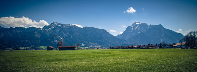 Alpenwiese 2