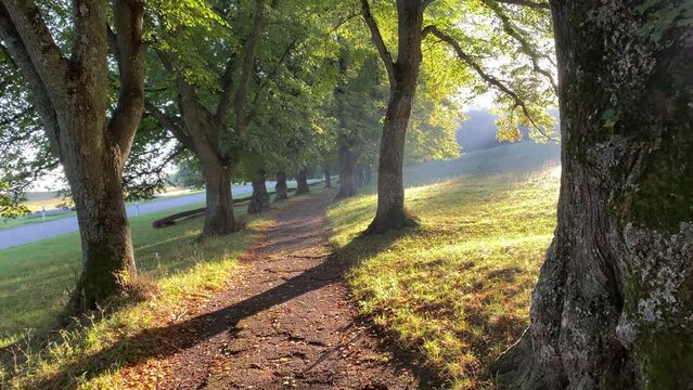 Weg zur Burg Teck an einem sonnigen Morgen, schw&auml;bische Alb
