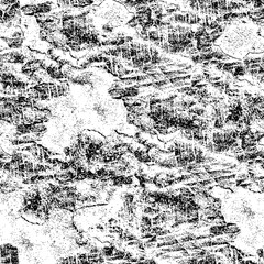 Grunge black and white background. Dirty abstract texture of dirt. Black spots, scratches, scuffs, chips, cracks on a white background