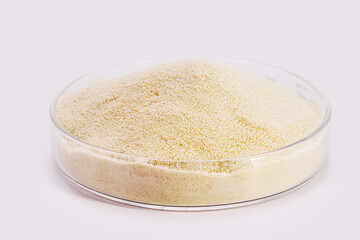 creatine, sports supplement, creatine, hmb, bcaa, amino acid or vitamin powder. Sports nutrition concept, l-carnitine, white isolated background, copyspace