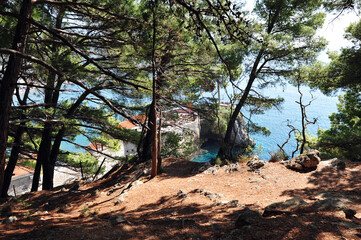 Natural view through pine trees toward the Adriatic sea and a restaurant in Petrovac. Steep part of walking path.