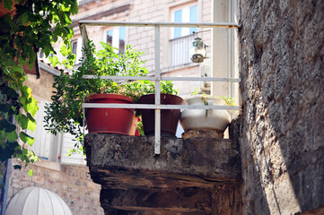 Fototapeta na wymiar Three old flower pots placed on a high veranda ledge. Old brick buildings in Petrovac.