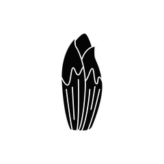 Endive icon in black flat glyph, filled style isolated on white background