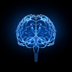 Brain model x-ray look isolated on black background, front view