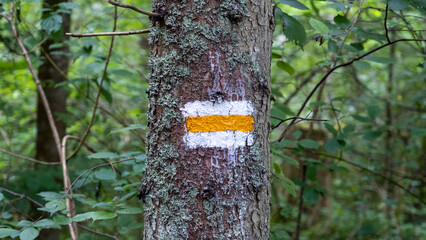 Yellow and white hiking trail signs symbols in spring on tree