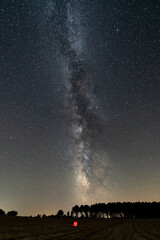 Large straw alpaca in red under the Milky Way