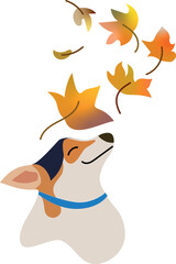 Fototapeta premium Dog playing with autumn leaves which are falling from the tree. Isolated head on transparent background. Copy-space