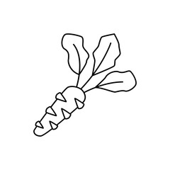 Wasabi icon in line style icon, isolated on white background