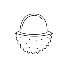 Lychee fruit icon in line style icon, isolated on white background