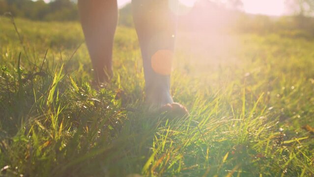 CLOSE UP, LOW ANGLE: Young female bare feet walking on grass in gorgeous sunset light. Sunlit barefooted woman stepping gently on the green meadow grass and moving towards camera at golden sunrise.