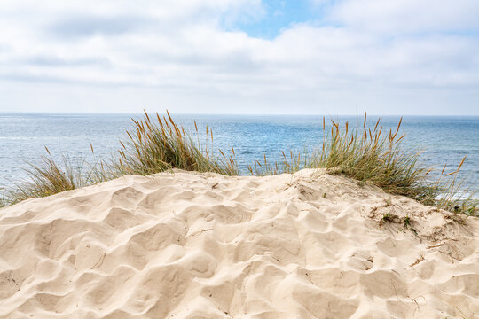 Sand dunes near the beach