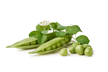 Fresh pea pods with stem and leaves on white background