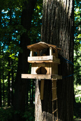 Bird House on tree in wood. Wooden feeder for birds attached to the trunk