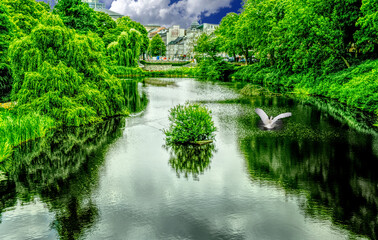 Der See in Planten un Blomen