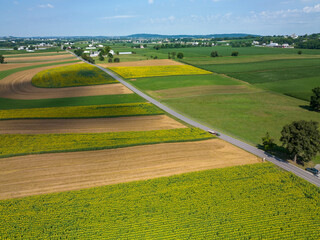 Obraz premium Aerial View of Sunflower Fields