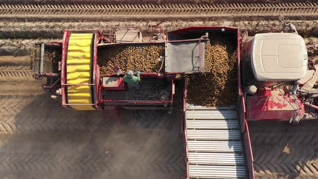 Tractor with potato harvester on the field. Aerial view of potato harvester.
