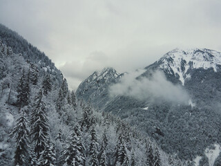 Fototapeta na wymiar Snowy mountains in clouds with winter forest, white peaks in the fog of Alps, trees on a steep cliff aerial drone panorama in Courchevel, Meribel in French Alps.