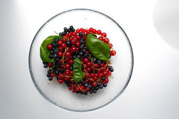 Harvest of fresh seasonal berries on a white background. Blueberries, blueberries and red currants in a plate on a white table