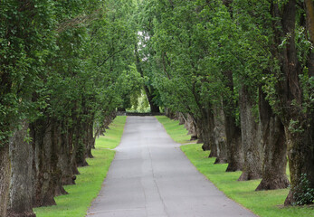 avenue