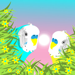 Fototapeta na wymiar Vector illustration of two wavy parrots not in full size in the spring time of the year against a clear sky. The birds are decorated with grass and flowers.