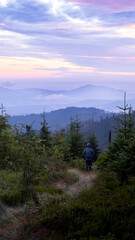 a quiet morning in the mountains