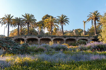 Stone columns and trees in Park Guell in Barcelona, Spain - obrazy, fototapety, plakaty