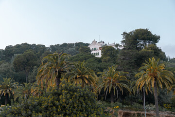 Fototapeta na wymiar Very green and exotic park with a building on top of the hill. Palm trees