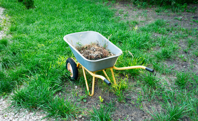 Garden cart with weeds standing on green grass